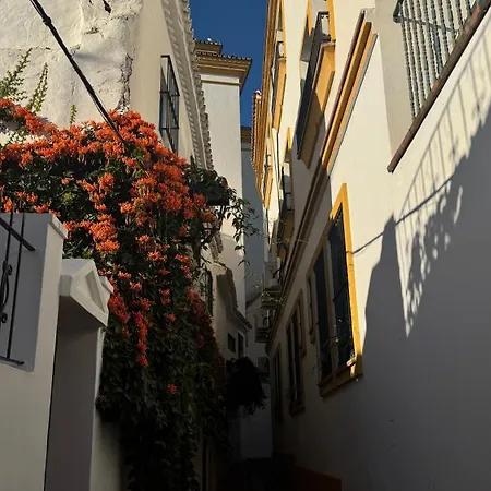 Casa Bonita Apartamento Marbella